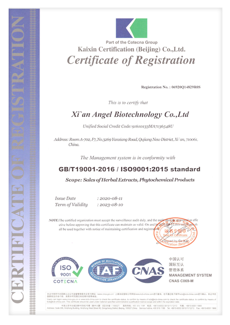 ISO9001