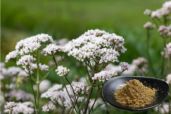 product-1-1 product-1-1