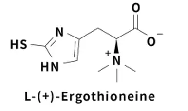 product-1-1 product-1-1
