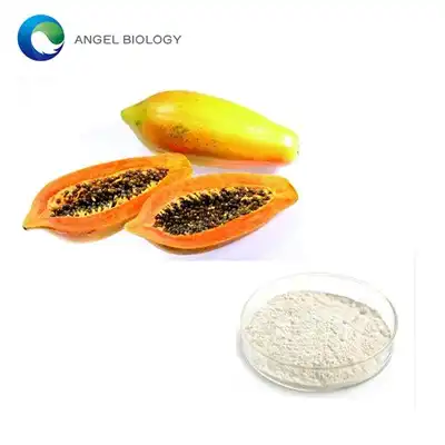 Papaya Extract Powder